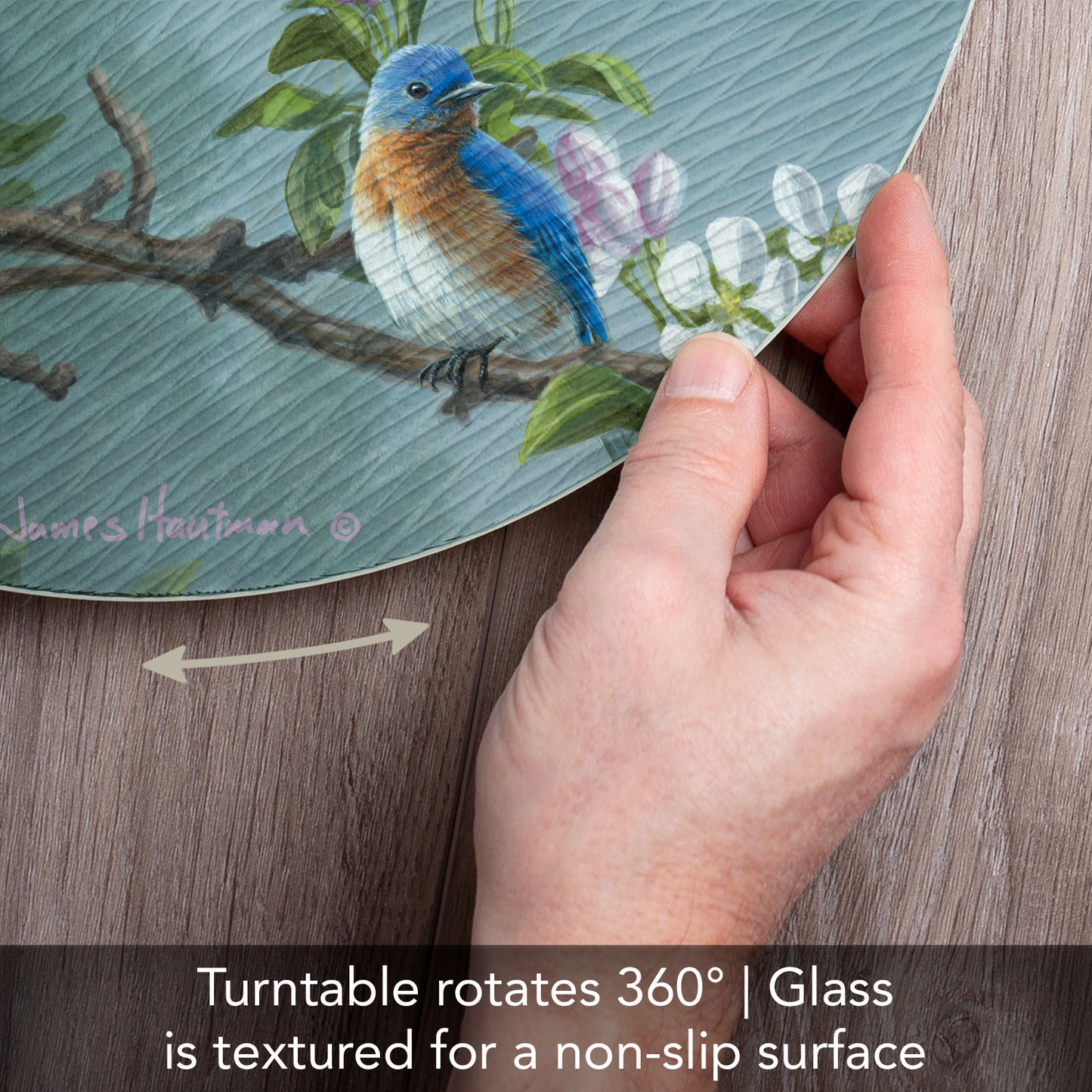 CounterArt Beautiful Songbirds 4mm Tempered Glass Lazy Susan Turntable 13" Diameter