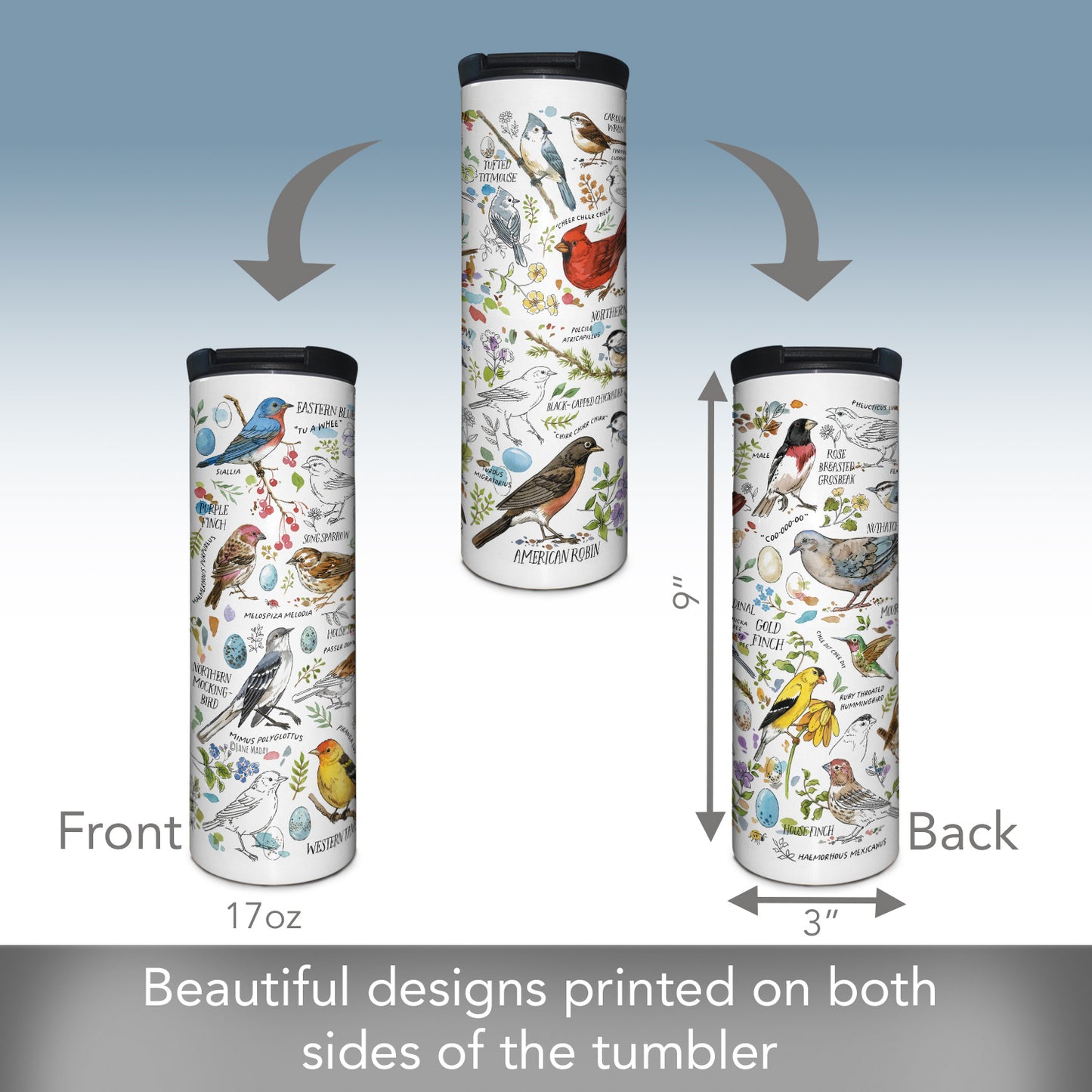 Highland Home Drawn Birds Decorative Stainless Steel Double Wall Insulated Travel Tumbler with Lid 17 oz. Manufactured in the USA Dishwasher Safe
