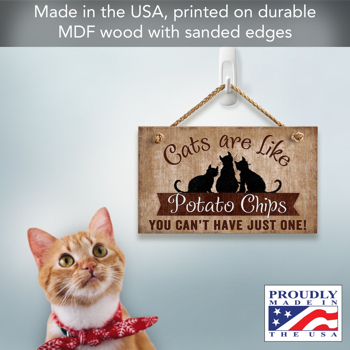 CounterArt Cats Are Like Potato Chips Decorative Hanging Wood Wall Sign 9.5” x 5.75” Made in the USA Features Braided Rope Hanger