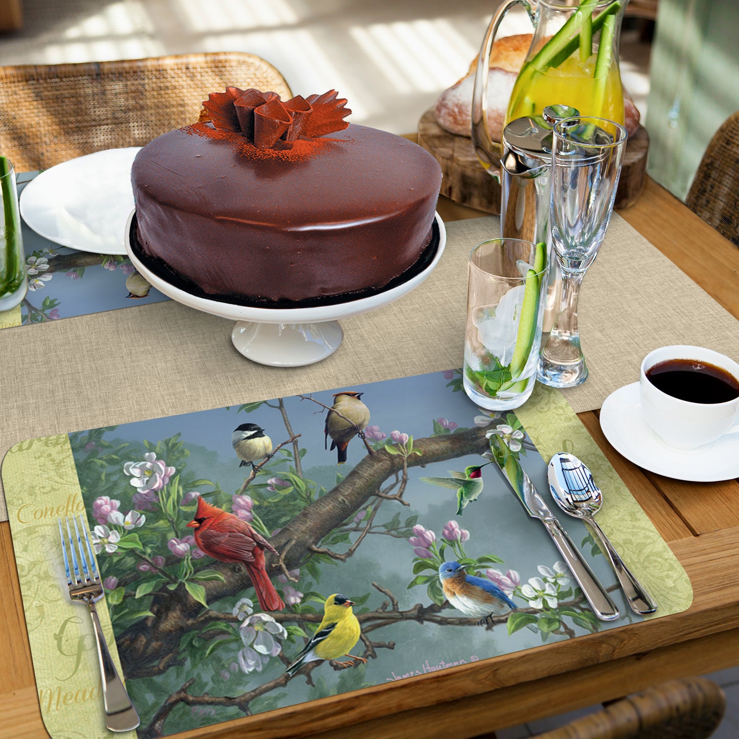 CounterArt Beautiful Songbirds 4 Pack Reversible Easy Care Flexible Placemats Made in The USA