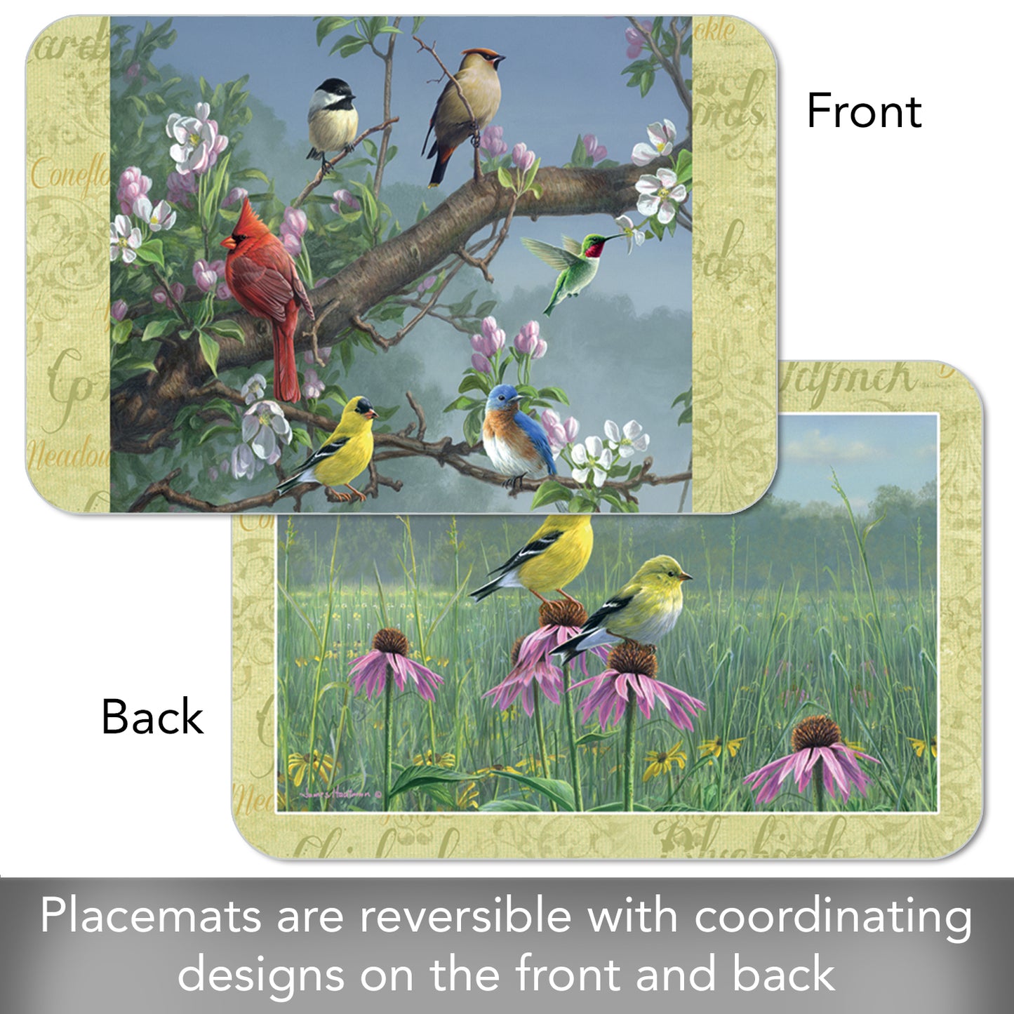 CounterArt Beautiful Songbirds Reversible Easy Care Flexible Plastic Placemats 4 Pack Made in The USA BPA Free Easily Wipes Clean