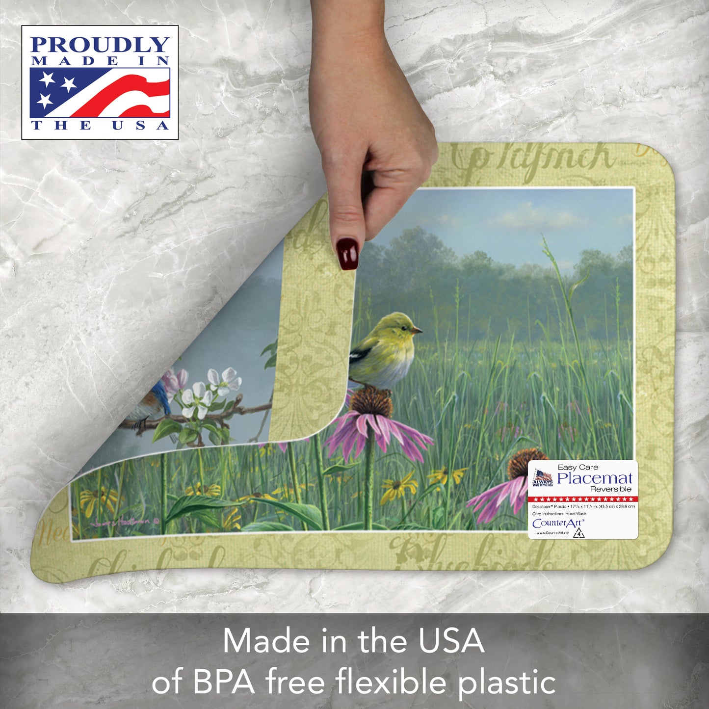 CounterArt Beautiful Songbirds 4 Pack Reversible Easy Care Flexible Placemats Made in The USA
