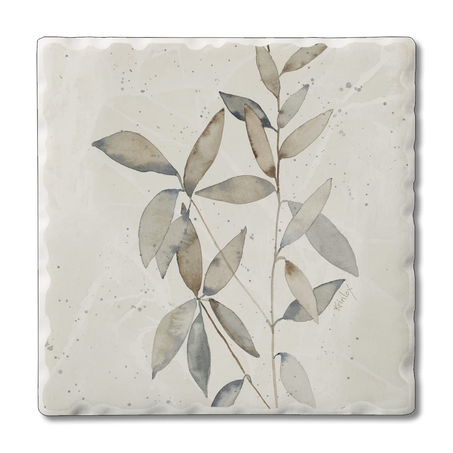 Thirstystone Neutral Botanicals Design I Single Tumbled Tile Stone Coaster with Protective Cork Backing Manufactured in The USA 4" Square, Colorful, Artistiic, Easily Wipes Clean
