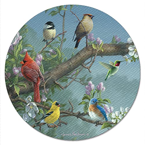 CounterArt Beautiful Songbirds 4mm Tempered Glass Lazy Susan Turntable 13" Diameter