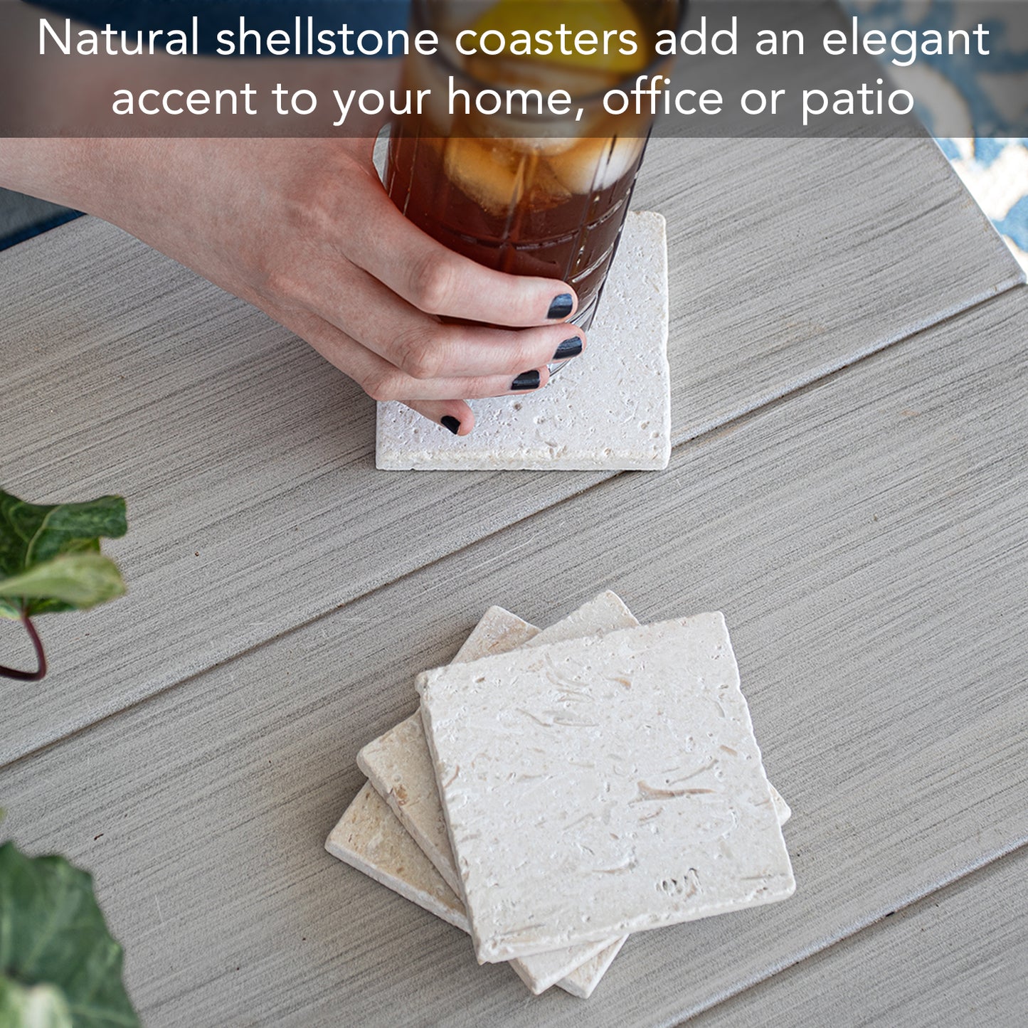 Thirstystone Natural Shell Stone 4 Pack Absorbent Stone Coasters with Protective Cork Backing Manufactured in The USA
