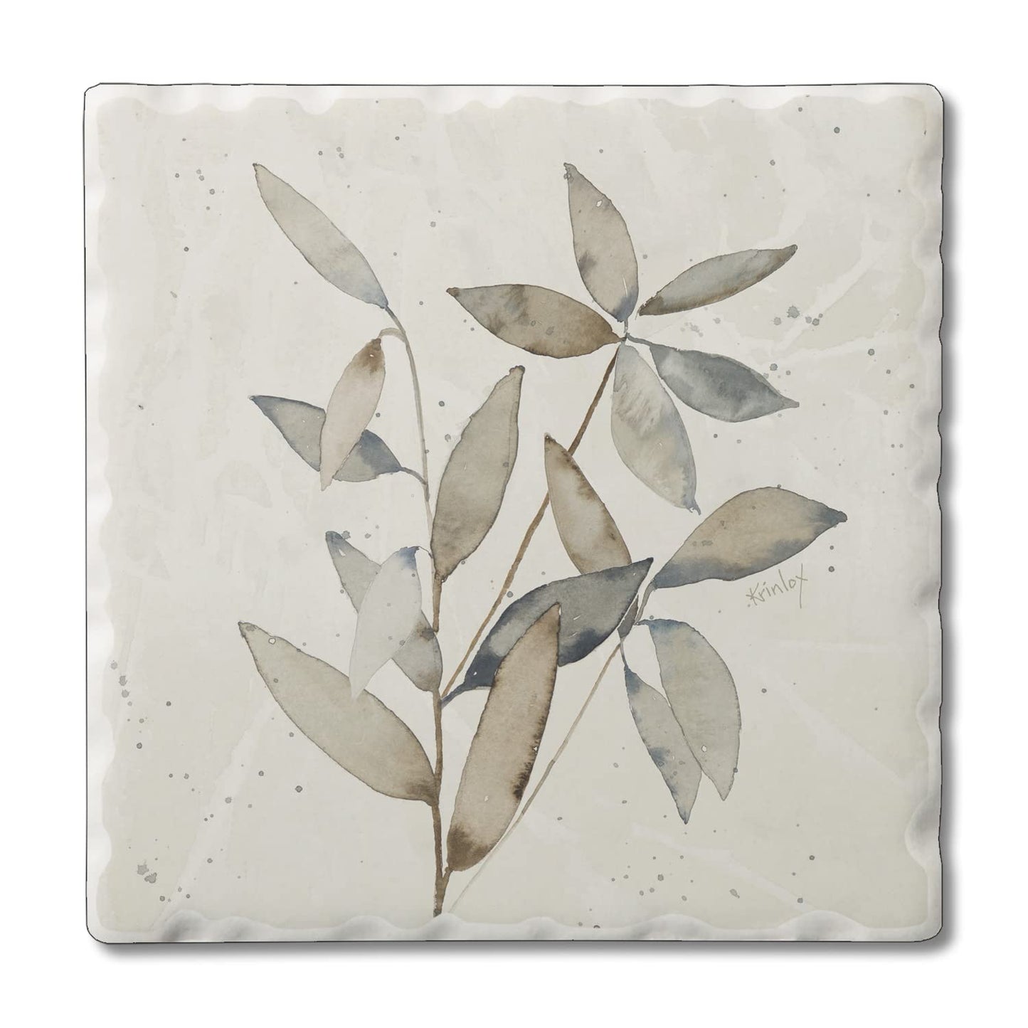 Thirstystone Neutral Botanicals Design II Single Tumbled Tile Stone Coaster with Protective Cork Backing Manufactured in The USA 4" Square, Colorful, Artistiic, Easily Wipes Clean