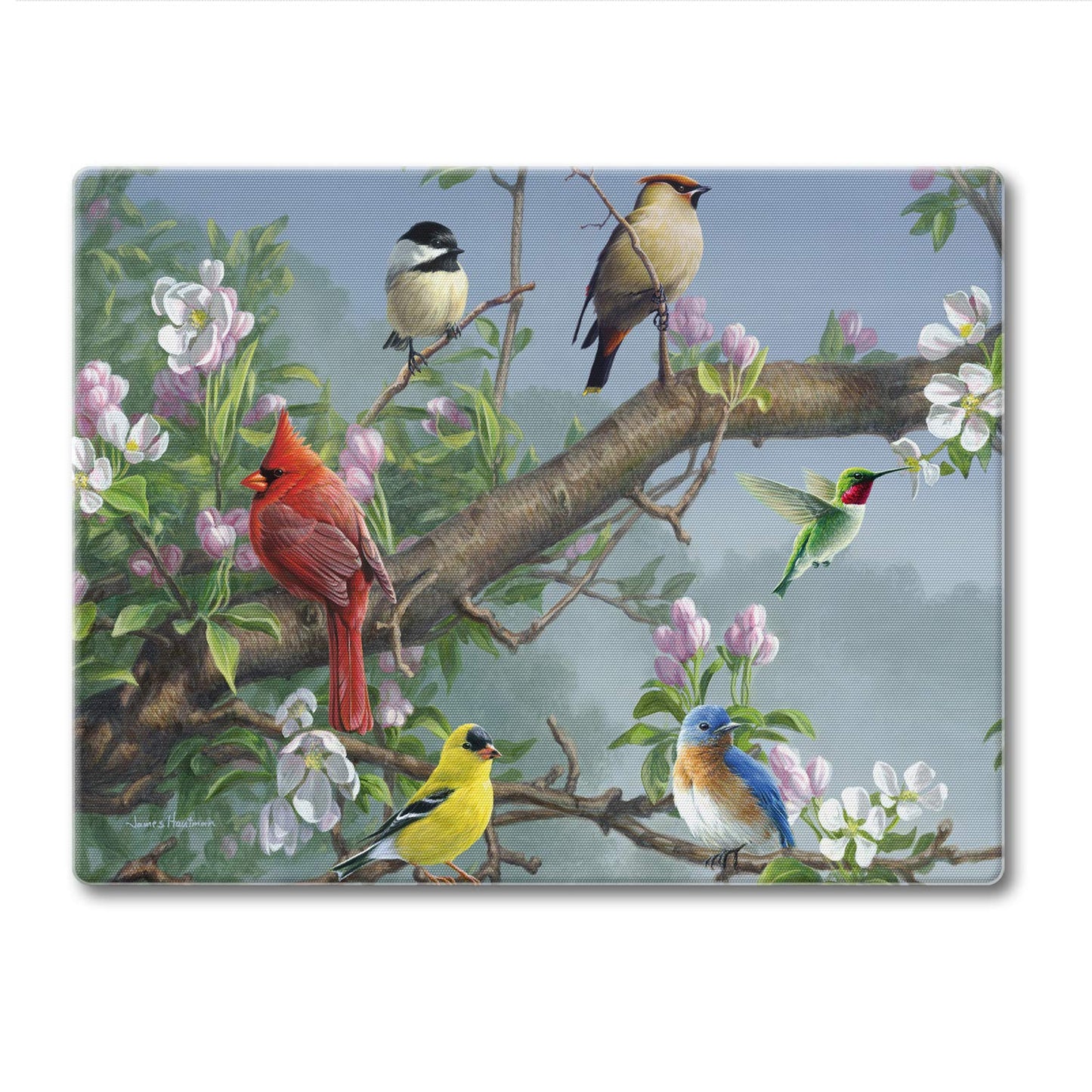 CounterArt Beautiful Songbirds 3mm Tempered Glass Cutting Board 10” x 8” Manufactured in the USA