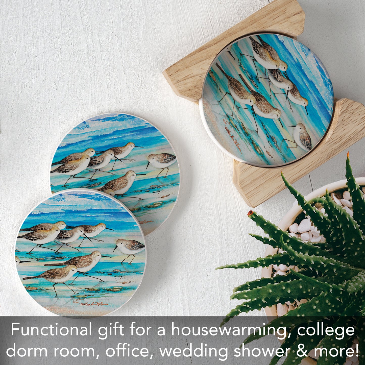 Thirstystone Shore Birds 4-Pack Natural Marble Stone Coaster with Protective Cork Backing Manufactured in The USA
