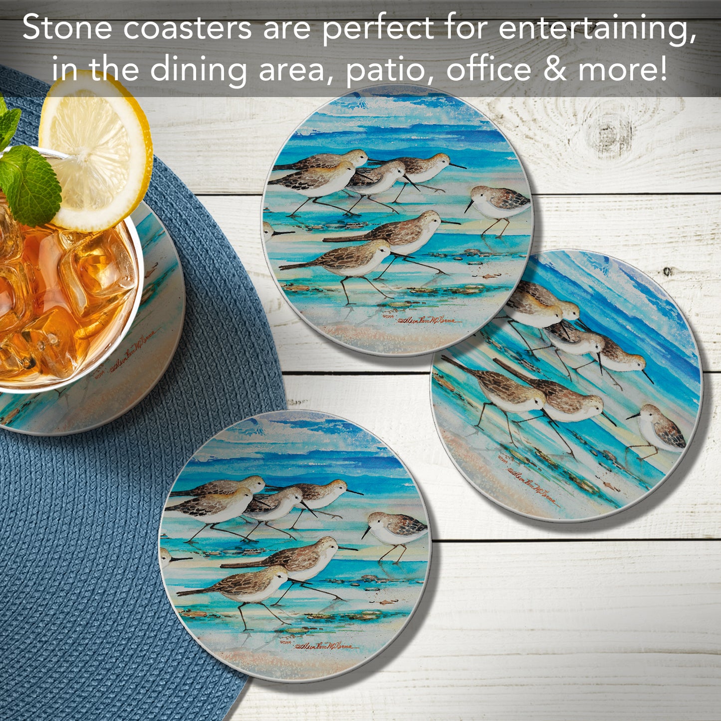 Thirstystone Shore Birds 4 Pack Round Absorbent Stone Coasters 4" Diameter Manufactured in the USA