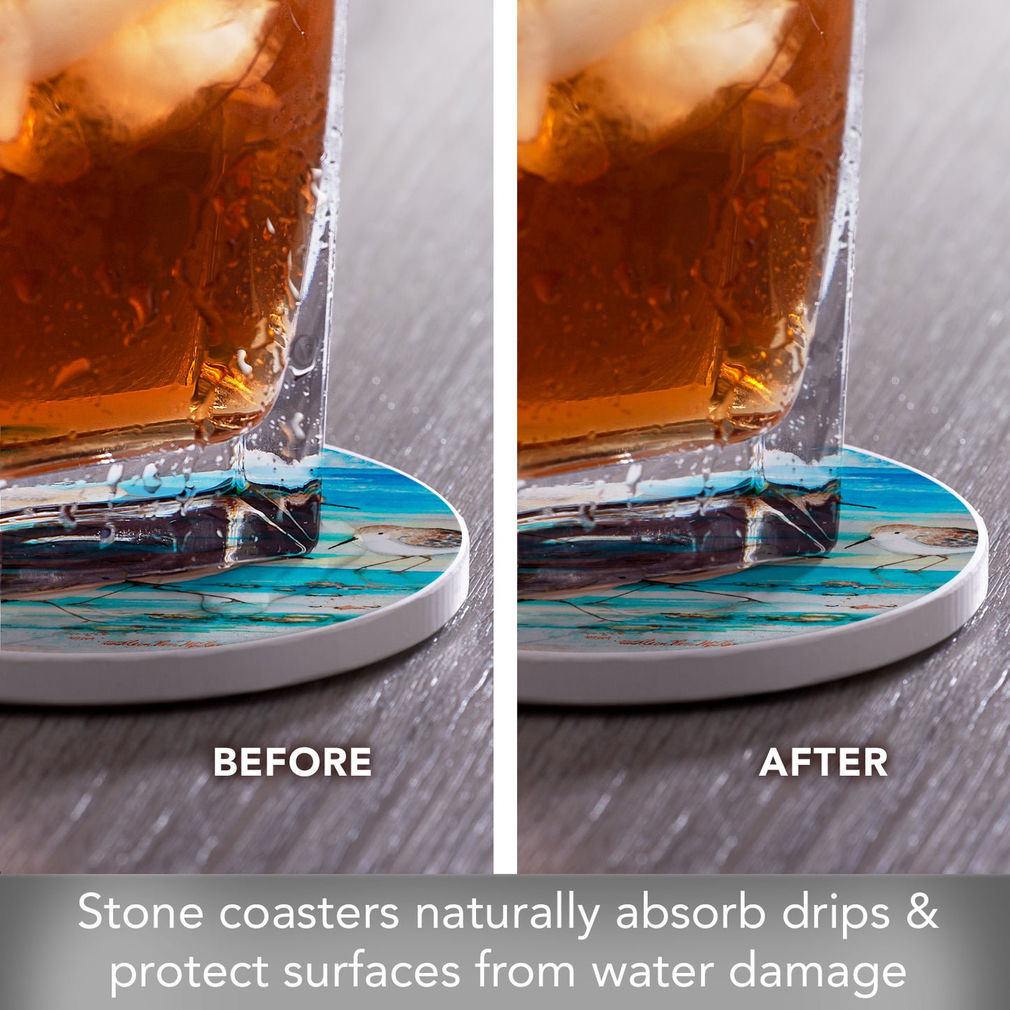 Thirstystone Shore Birds 4 Pack Round Absorbent Stone Coasters 4" Diameter Manufactured in the USA
