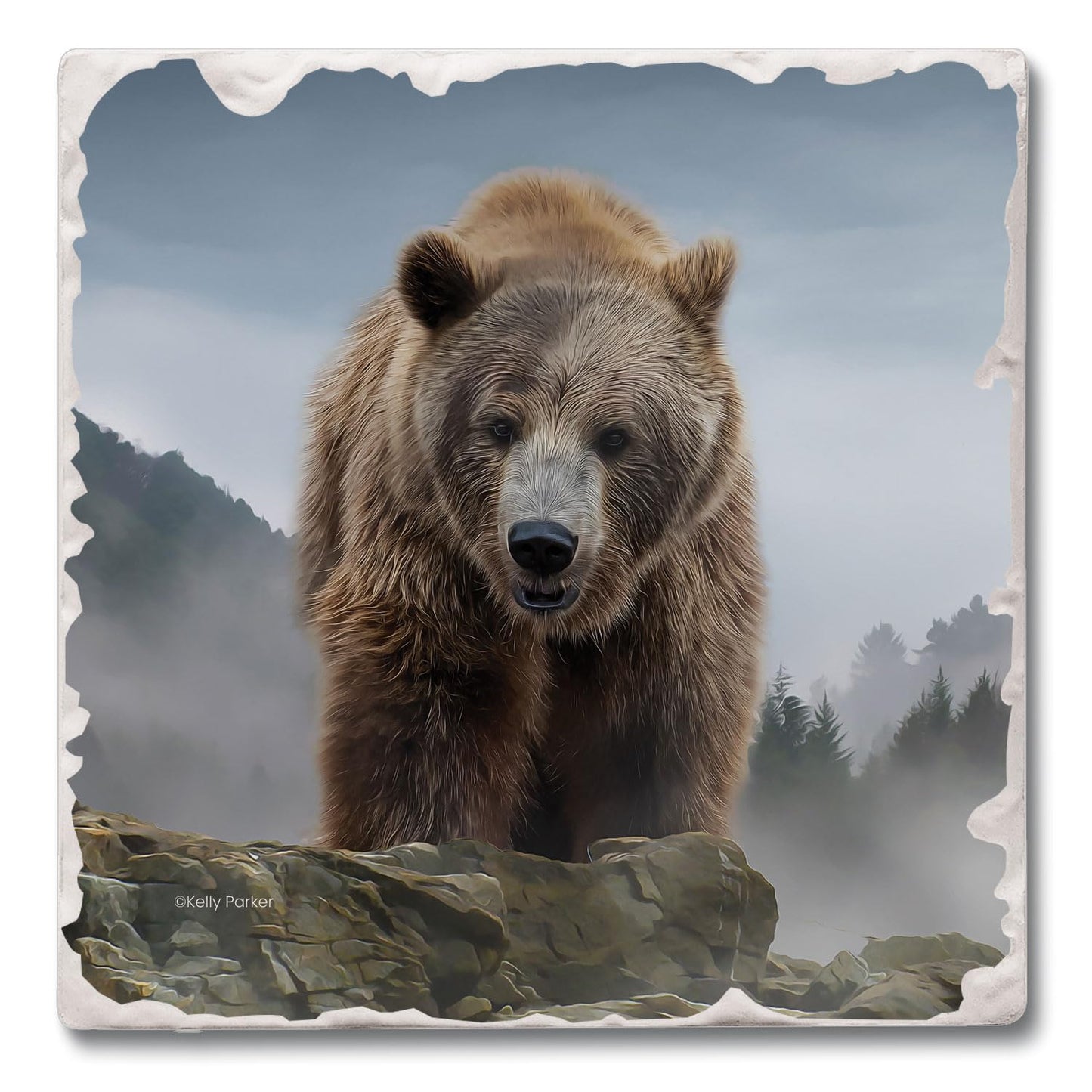 Thirstystone Mountain Grizzly Single Tumbled Tile Stone Coaster with Protective Cork Backing Manufactured in The USA 4" Square