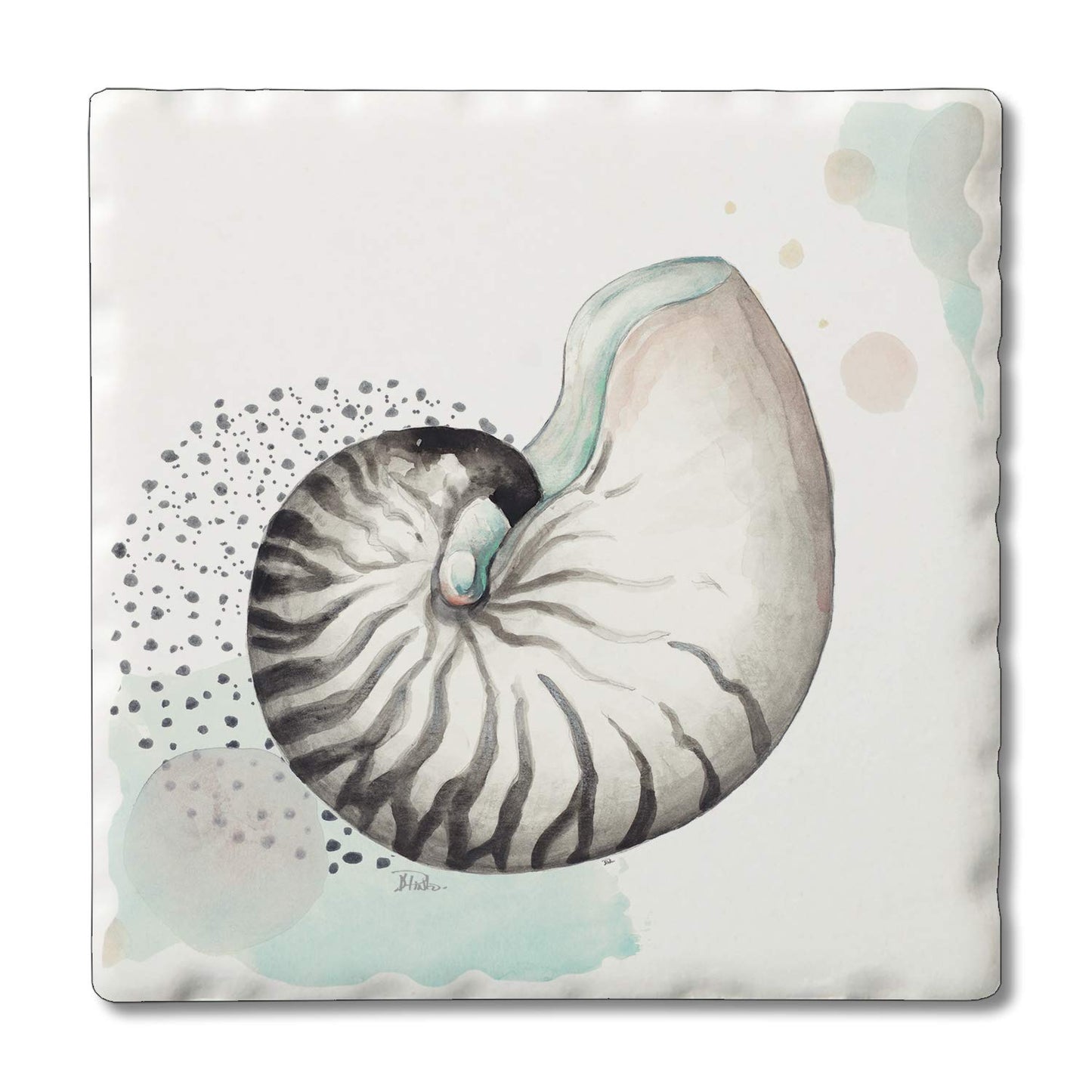 Thirstystone Nautilus Single Tumbled Tile Stone Coaster with Protective Cork Backing Manufactured in The USA 4" Square, Colorful, Artistiic, Easily Wipes Clean