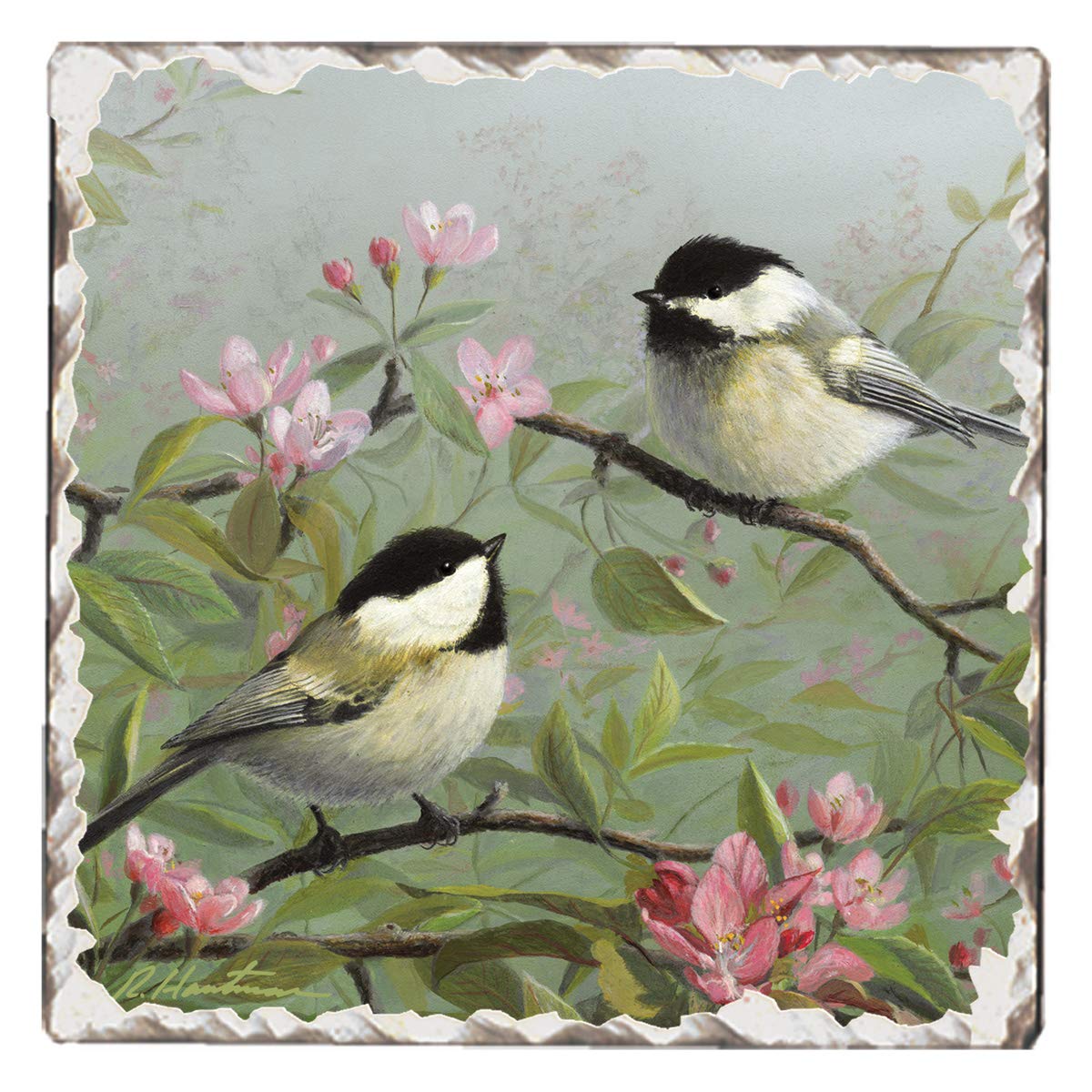 Thirstystone Chickadees on Branch Single Tumbled Tile Stone Coaster with Protective Cork Backing Manufactured in The USA 4" Square, Artistic, Easily Wipes Clean
