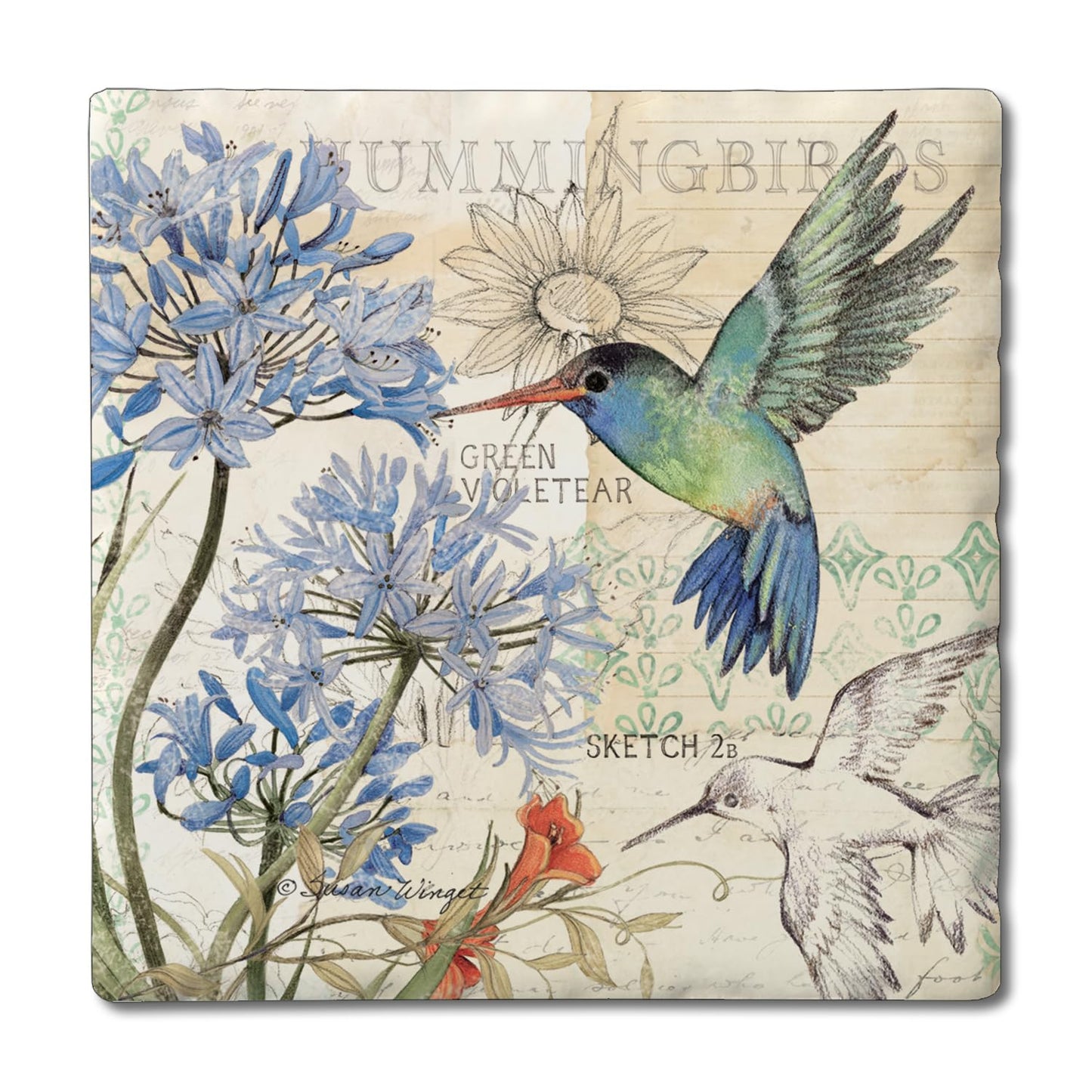 Thirstystone Hummingbird Study 4 Pack Tumbled Tile Stone Coasters 4" Square Manufactured in the USA