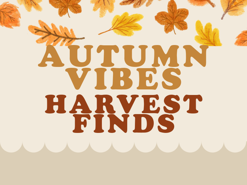 Autumn Vibes & Harvest Finds