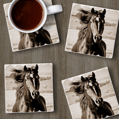 Thirstystone Horse-Black Beauty 4 Pack Tumbled Tile Stone Coasters 4" Square Manufactured in the USA