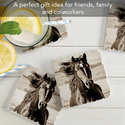 Thirstystone Horse-Black Beauty 4 Pack Tumbled Tile Stone Coasters 4" Square Manufactured in the USA