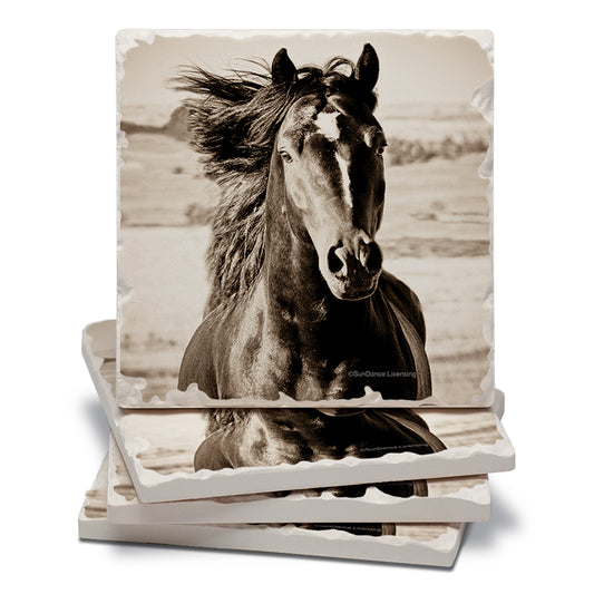 Thirstystone Horse-Black Beauty 4 Pack Tumbled Tile Stone Coasters 4" Square Manufactured in the USA