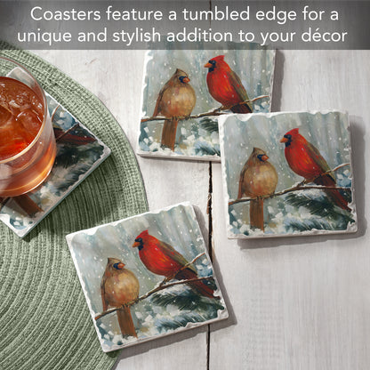 Thirstystone Winter Birds 4 Pack Assorted Tumbled Tile Stone Coasters with Protective Cork Backing 4" Square Manufactured in The USA