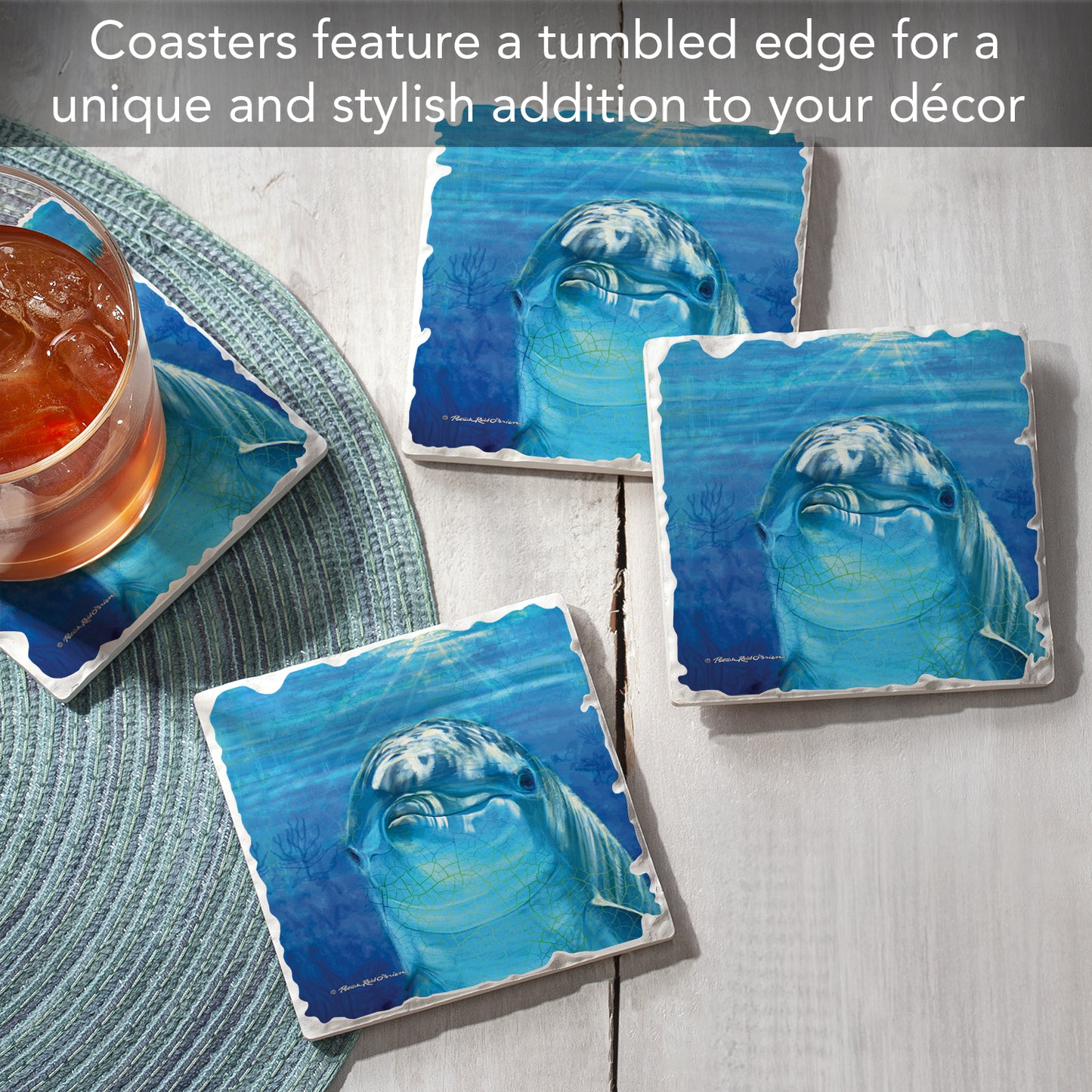 Thirstystone Dolphin Smile 4-Pack Tumbled Tile Stone Coasters 4" Square Manufactured in the USA