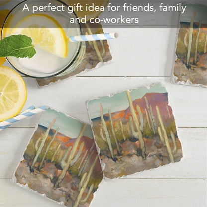 Thirstystone High Desert 4 Pack Tumbled Tile Stone Coasters 4" Square Manufactured in the USA