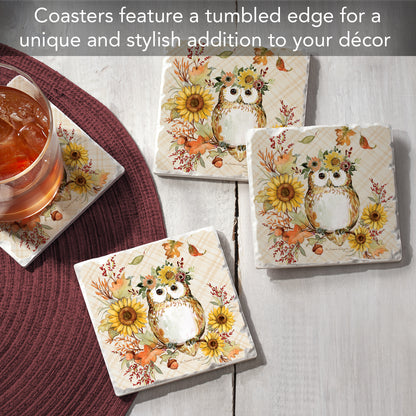 Thirstystone Friendly Owl 4 Pack Tumbled Tile Stone Coasters 4" Square Manufactured in the USA