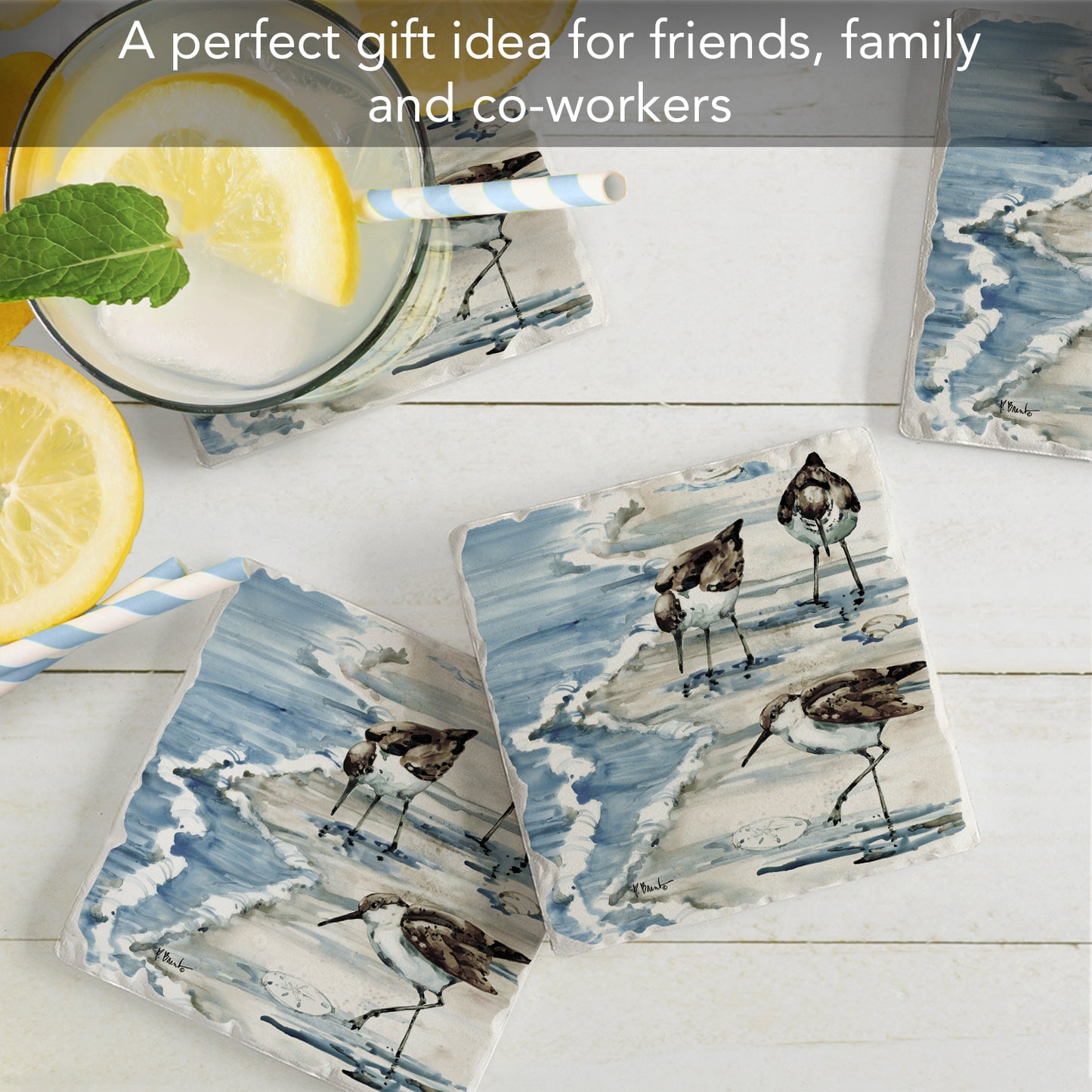 Thirstystone Rockhampton Sandpipers 4 Pack Tumbled Tile Stone Coasters 4" Square Manufactured in the USA
