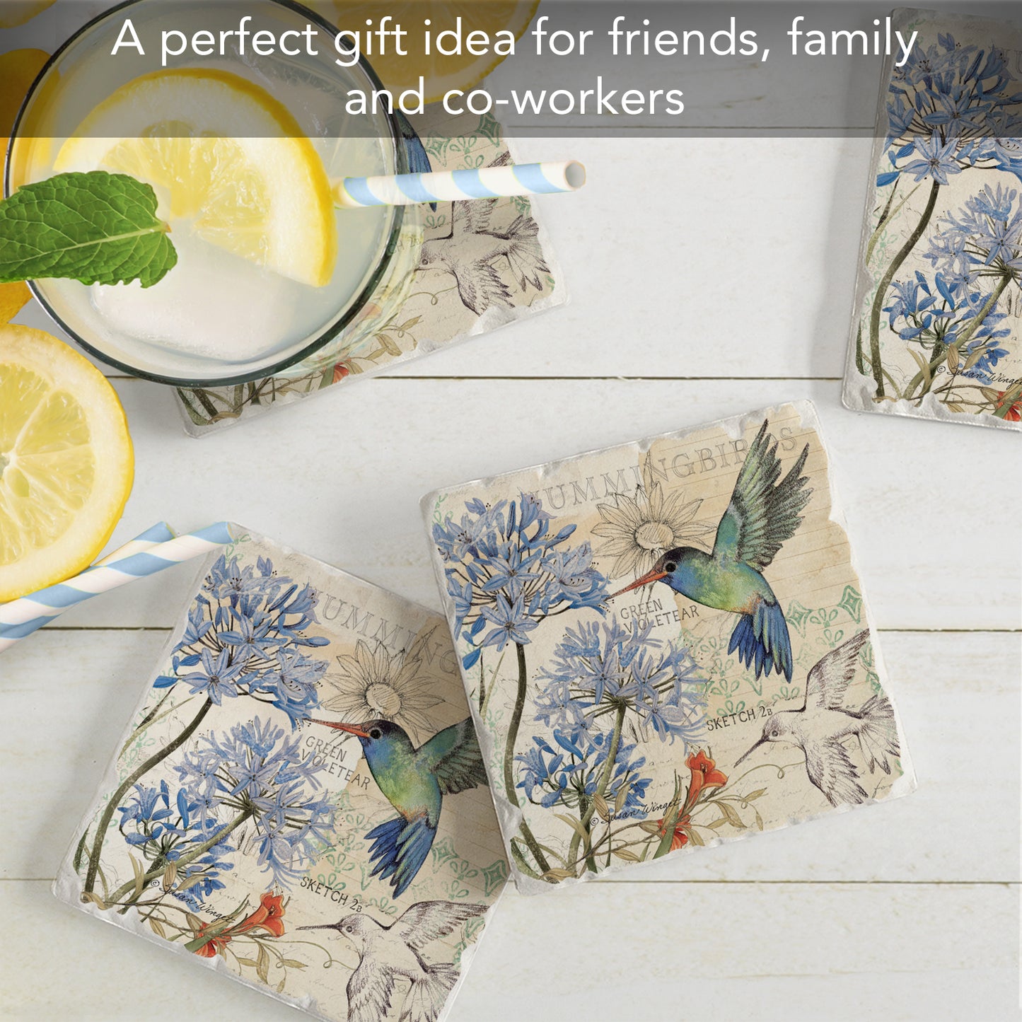 Thirstystone Hummingbird Study 4 Pack Tumbled Tile Stone Coasters 4" Square Manufactured in the USA