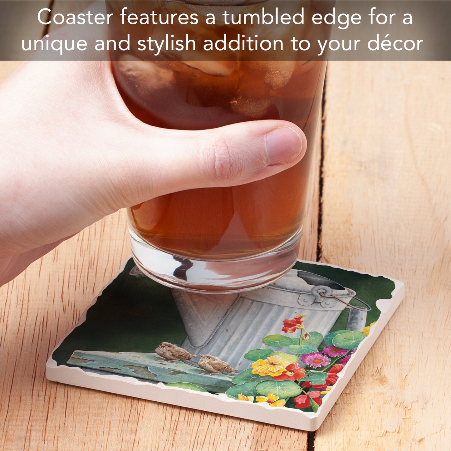 Thirstystone Watering Birds Single Tumbled Tile Stone Coaster with Protective Cork Backing Manufactured in The USA 4" Square, Artistic, Easily Wipes Clean
