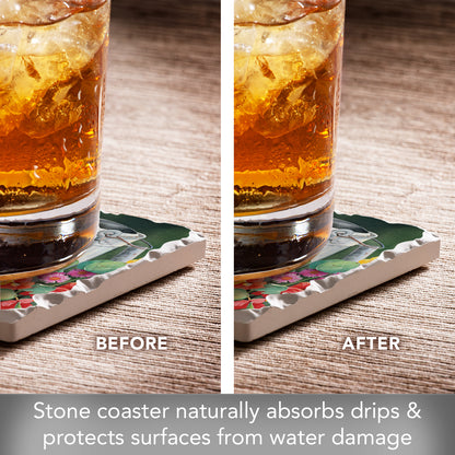 Thirstystone Watering Birds Single Tumbled Tile Stone Coaster with Protective Cork Backing Manufactured in The USA 4" Square, Artistic, Easily Wipes Clean