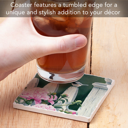 Thirstystone Garden Birds Single Tumbled Tile Stone Coaster with Protective Cork Backing Manufactured in The USA 4" Square, Artistic, Easily Wipes Clean