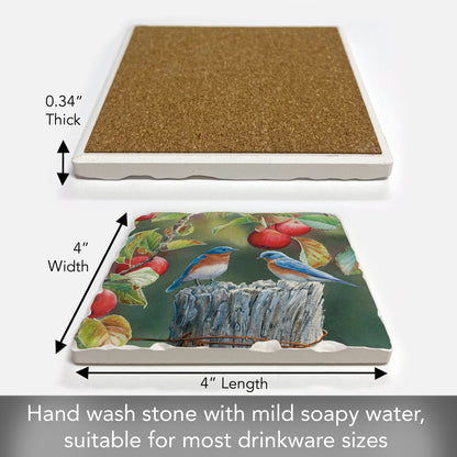 Thirstystone Bluebird Pair Single Tumbled Tile Stone Coaster with Protective Cork Backing Manufactured in The USA 4" Square, Artistic, Easily Wipes Clean