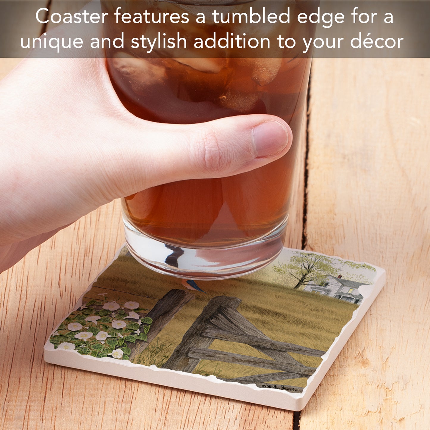 Thirstystone Morning Glory Single Tumlbed Tile Stone Coaster with Protective Cork Backing Manufactured in The USA 4" Square, Artistic, Easily Wipes Clean