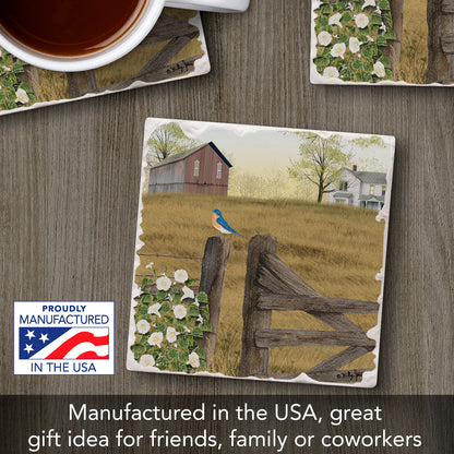 Thirstystone Morning Glory Single Tumlbed Tile Stone Coaster with Protective Cork Backing Manufactured in The USA 4" Square, Artistic, Easily Wipes Clean