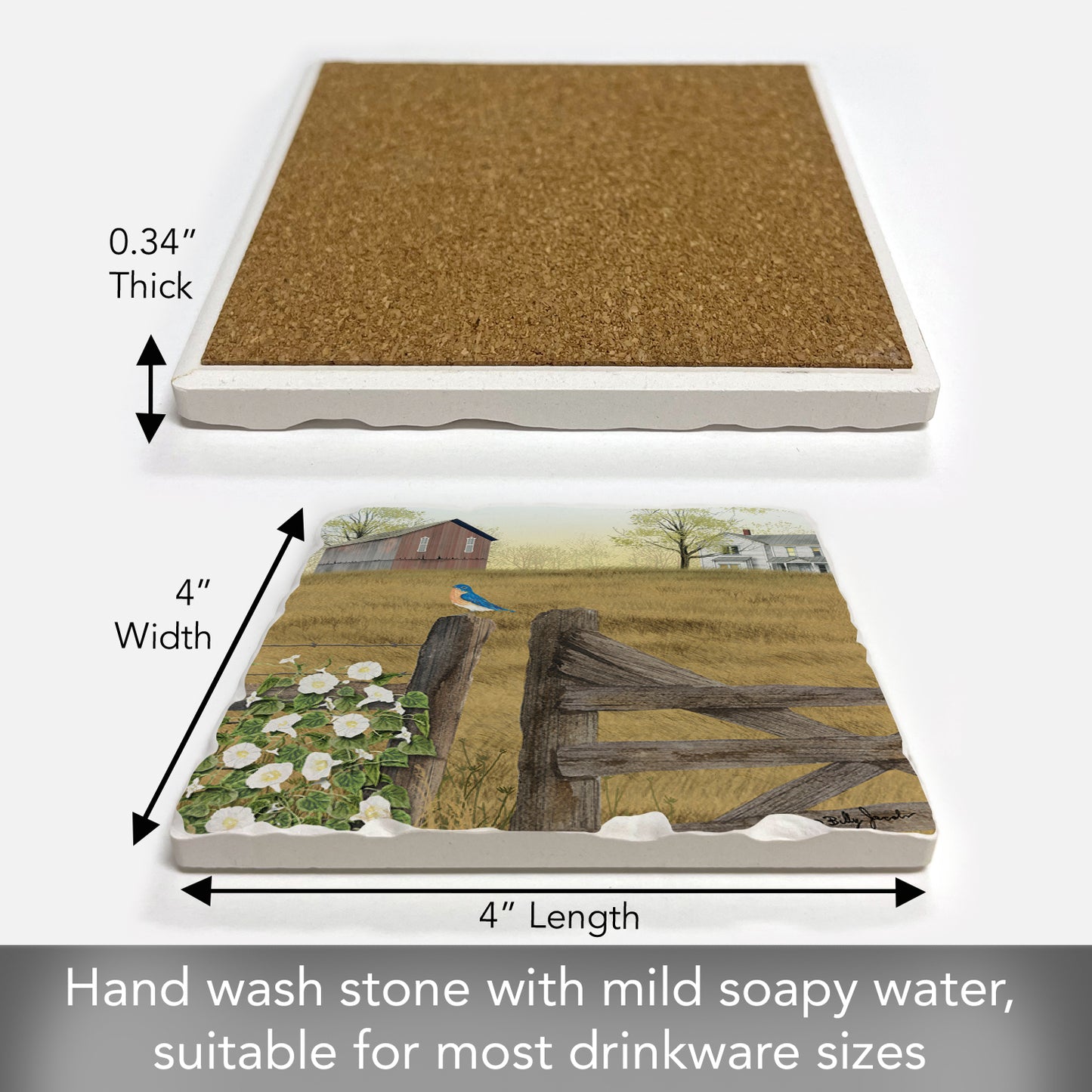 Thirstystone Morning Glory Single Tumlbed Tile Stone Coaster with Protective Cork Backing Manufactured in The USA 4" Square, Artistic, Easily Wipes Clean