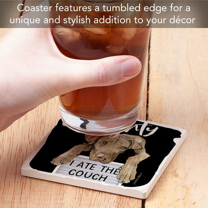 Thirstystone Define Naughty Dog Single Tumbled Tile Stone Coaster with Protective Cork Backing Manufactured in The USA 4" Square, Colorful, Artistiic, Easily Wipes Clean