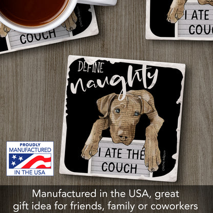 Thirstystone Define Naughty Dog Single Tumbled Tile Stone Coaster with Protective Cork Backing Manufactured in The USA 4" Square, Colorful, Artistiic, Easily Wipes Clean