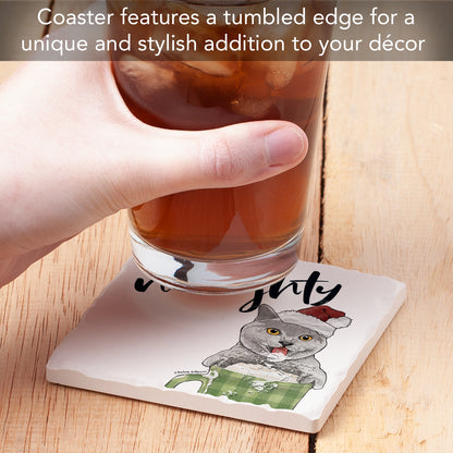 Thirstystone Define Naughty Cat Single Tumbled Tile Coaster Manufactured in The USA Adorable, Create Your Own Collection