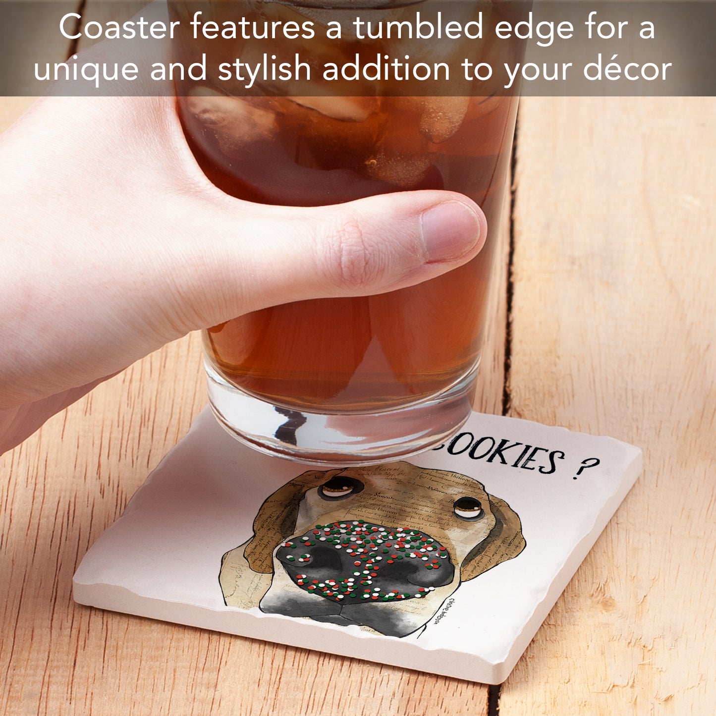 Thirstystone What Cookies Dog Single Tumbled Tile Coaster Manufactured in The USA Adorable, Create Your Own Collection