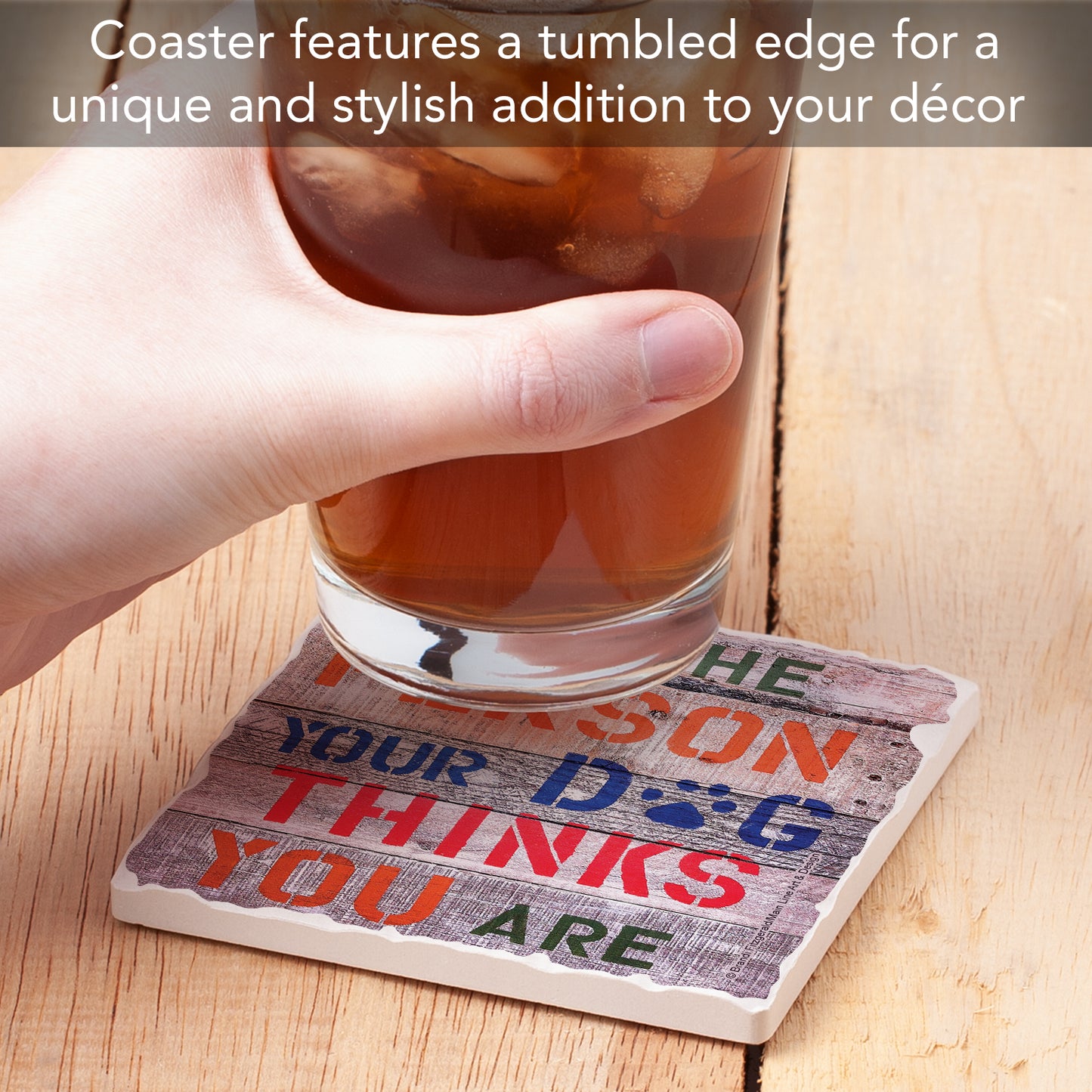 Thirstystone Dog Thinks Single Tumbled Tile Stone Coaster with Protective Cork Backing Manufactured in The USA 4" Square, Artistic, Easily Wipes Clean