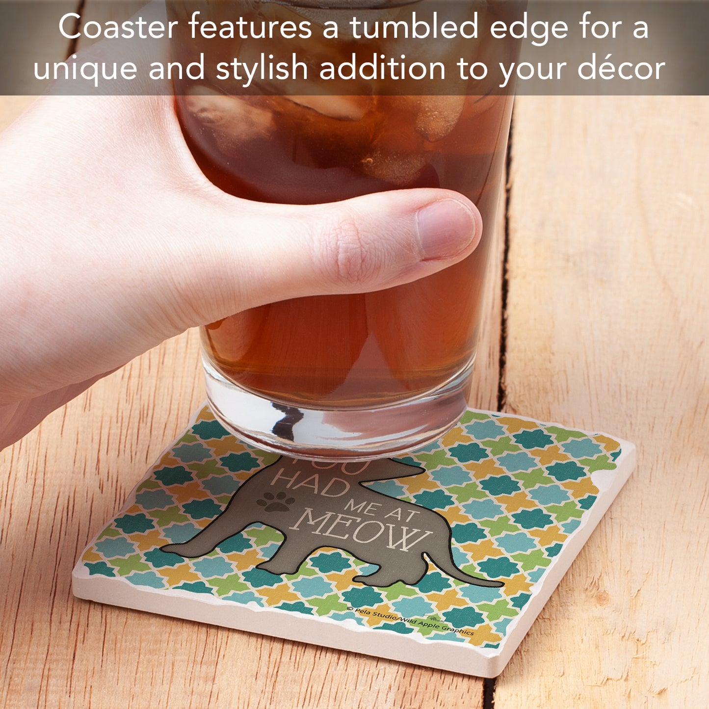 Thirstystone Had Me at Meow Single Tumbled Tile Stone Coaster with Protective Cork Backing Manufactured in The USA 4" Square, Artistic, Easily Wipes Clean
