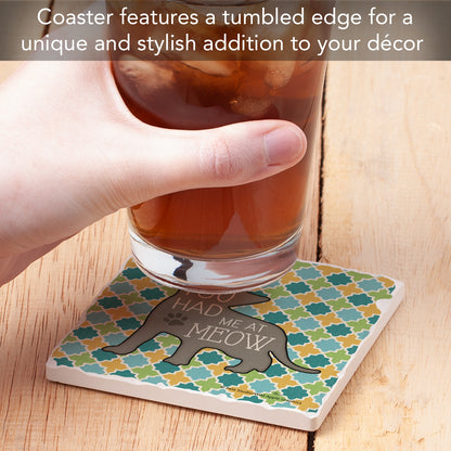 Thirstystone Had Me at Meow Single Tumbled Tile Stone Coaster with Protective Cork Backing Manufactured in The USA 4" Square, Artistic, Easily Wipes Clean