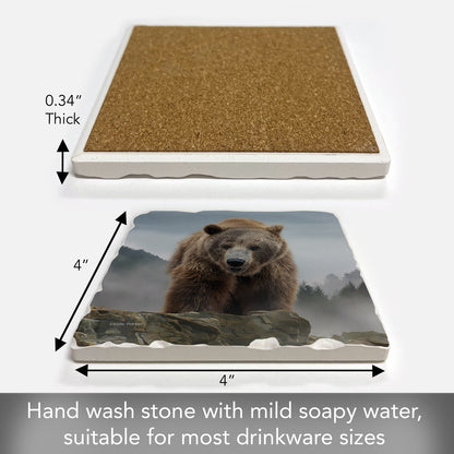 Thirstystone Mountain Grizzly Single Tumbled Tile Stone Coaster with Protective Cork Backing Manufactured in The USA 4" Square