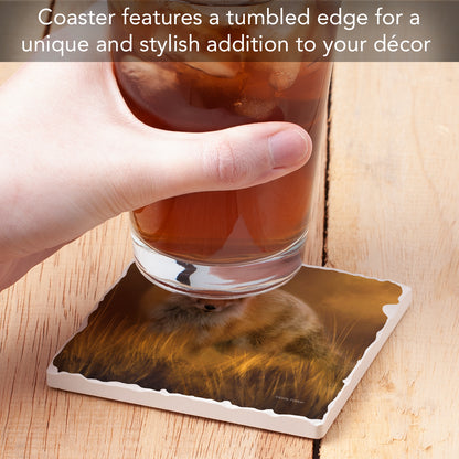 Thirstystone Fox in The Grass Single Tumbled Tile Stone Coaster with Protective Cork Backing Manufactured in The USA 4" Square