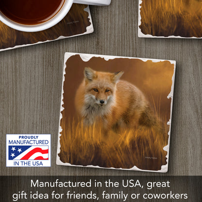 Thirstystone Fox in The Grass Single Tumbled Tile Stone Coaster with Protective Cork Backing Manufactured in The USA 4" Square