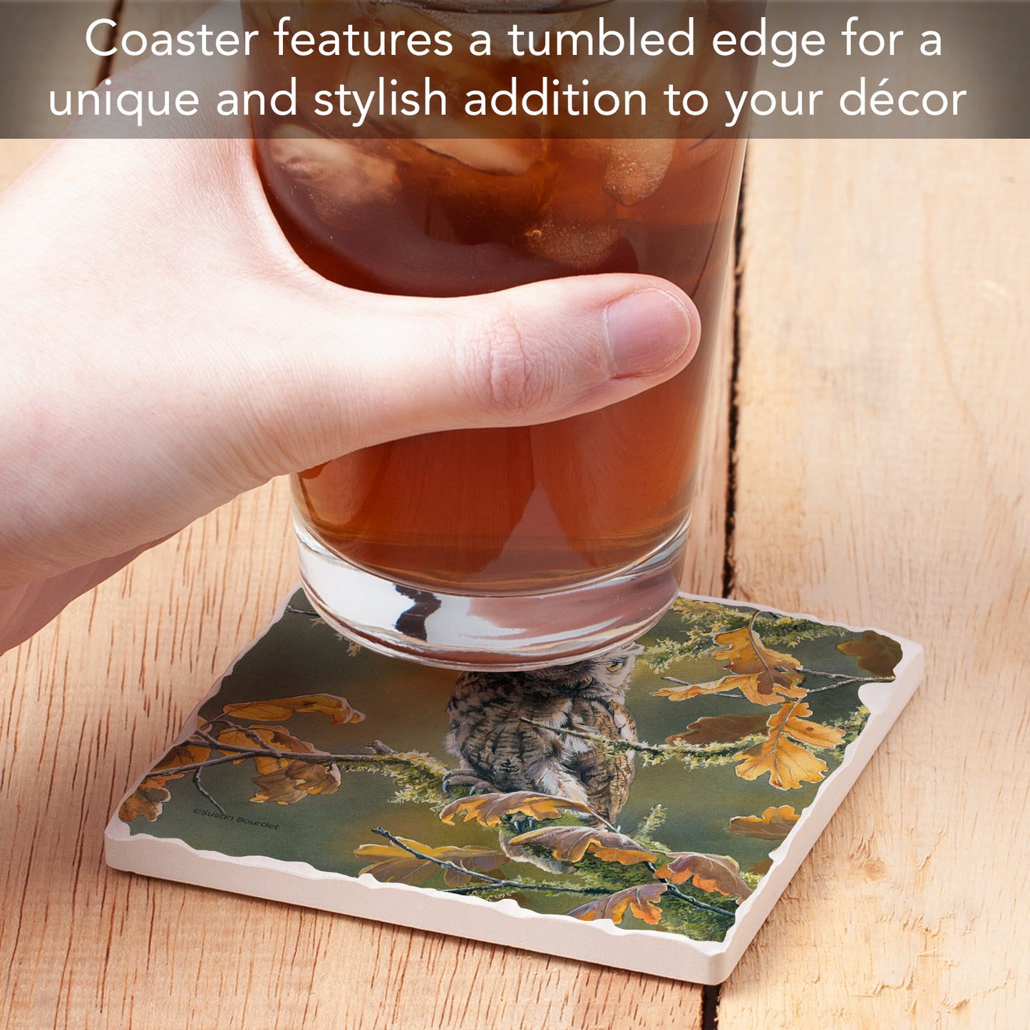 Thirstystone Screech Owl Single Tumbled Tile Stone Coaster with Protective Cork Backing Manufactured in The USA 4" Square