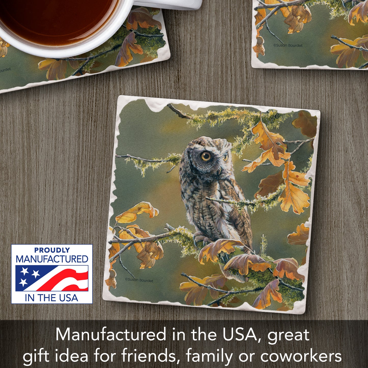 Thirstystone Screech Owl Single Tumbled Tile Stone Coaster with Protective Cork Backing Manufactured in The USA 4" Square