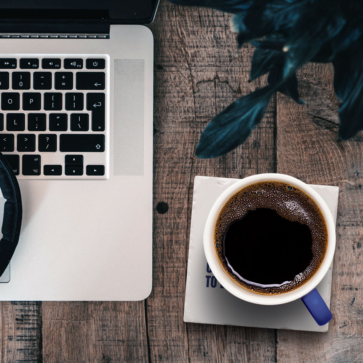 Cocaine Bear Single Tumbled Tile Coaster 4" Square Create Your Own Collection