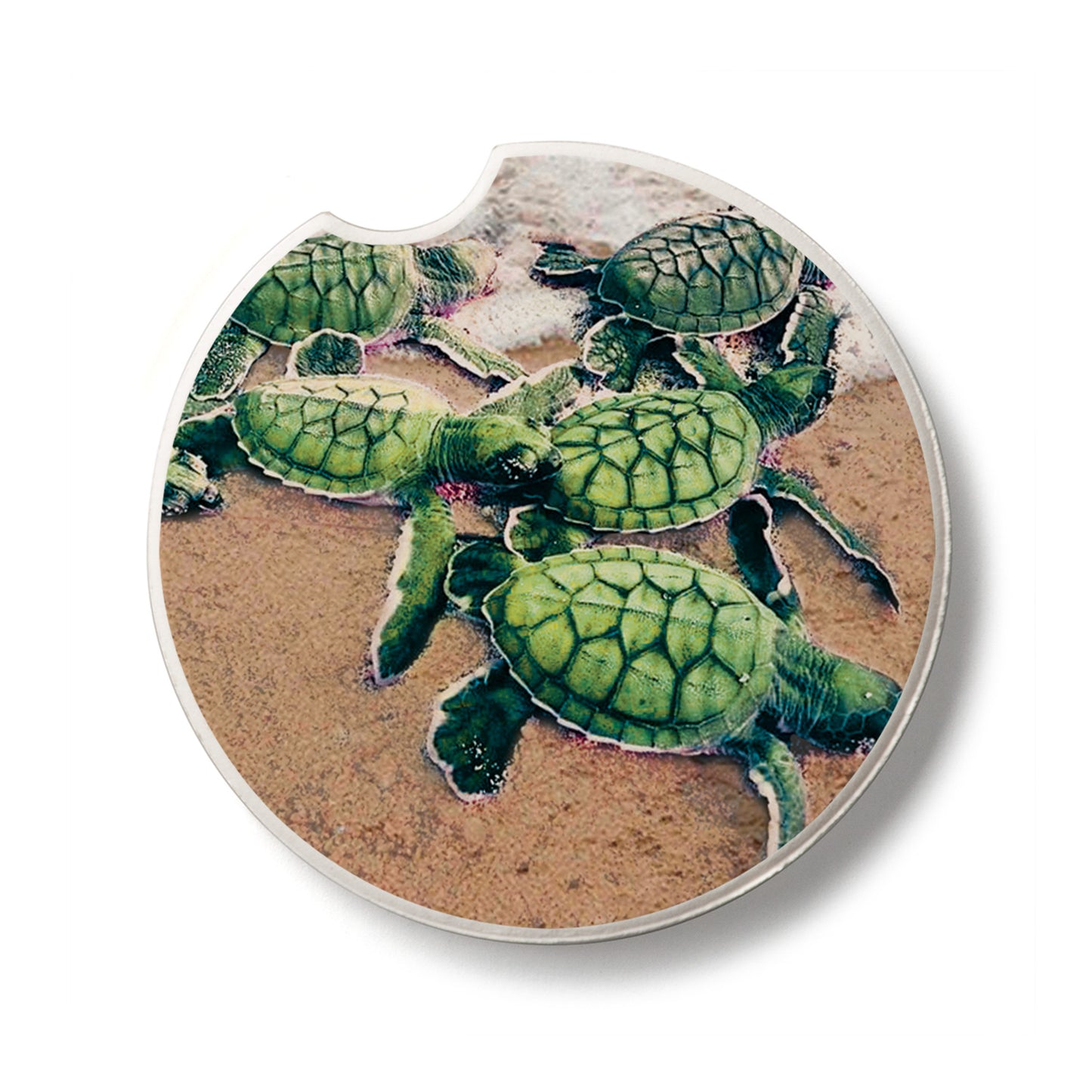 Baby Sea Turtles Single Absorbent Stone Car Coaster 2.6” Diameter Manufactured in the USA