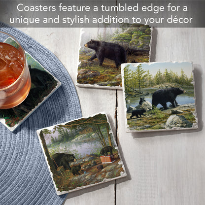 Thirstystone Keeping Watch Bear 4-Pack Tumbled Tile Stone Coasters 4" Square